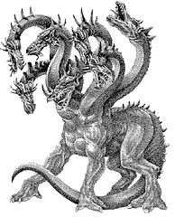 hydra by Andrew Jian hydra photo