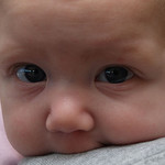 baby bentrup by paparutzi baby photo