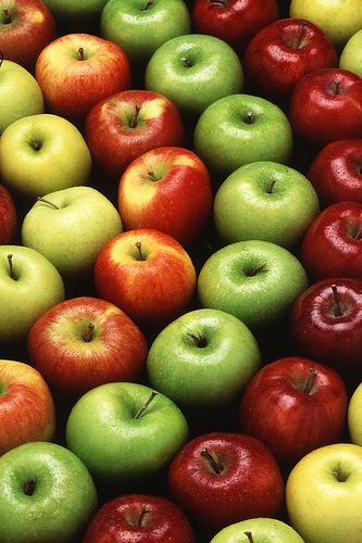 apples by Royalty-free image collection apples photo