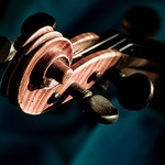violin scroll by mitch98000 violin photo