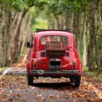 Fiat and trees